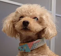 安藤 雄大のプロフィール画像