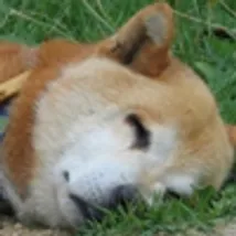 松崎 令のプロフィール画像