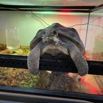 熊谷 隼のプロフィール画像